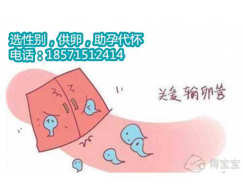 神奇北京试管助孕公司