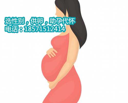 北京供卵助孕中心男孩价格