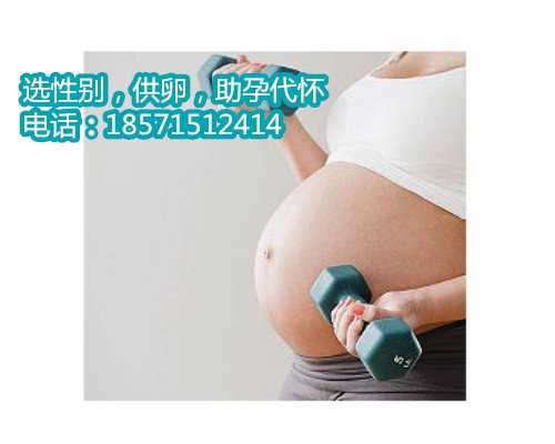 北京助孕价格,重燃生育信心的选择