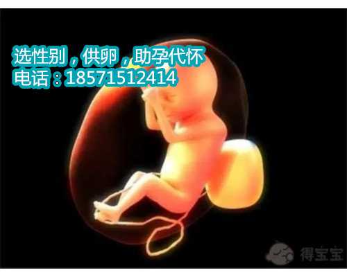 北京供卵流程,如何使胚胎着床成功