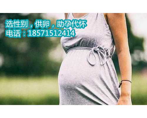 北京人工代怀群,单身男做试管婴儿