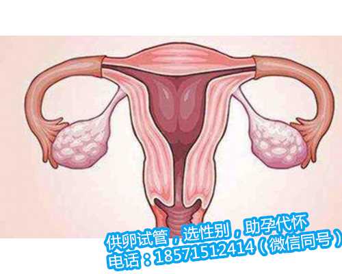 北京帮助不孕不育夫妇的做法以北京试管代生公司走出生育难题